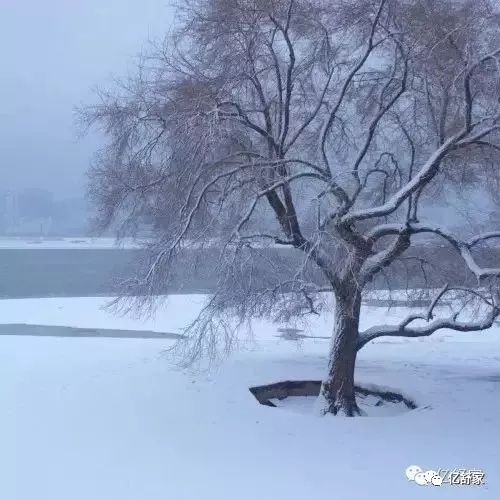 亿舒家智能水暖毯